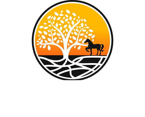 Holistik Connections